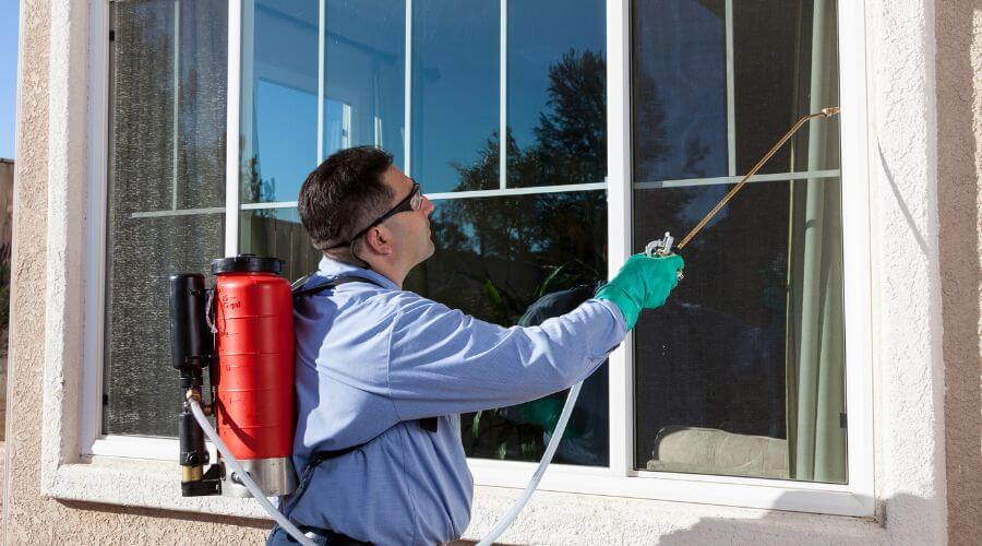 Professional 24 hour pest control services in Fayetteville